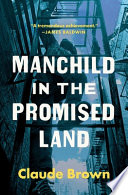 Manchild in the promised 